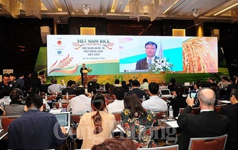 Cơ hội quảng bá, phát triển thương hiệu gạo Việt Nam