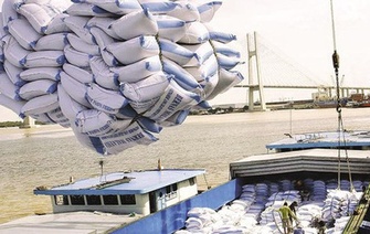 Danh sách Thương nhân được cấp Giấy chứng nhận đủ điều kiện kinh doanh xuất khẩu gạo được cập nhật đến ngày 18/01/2021